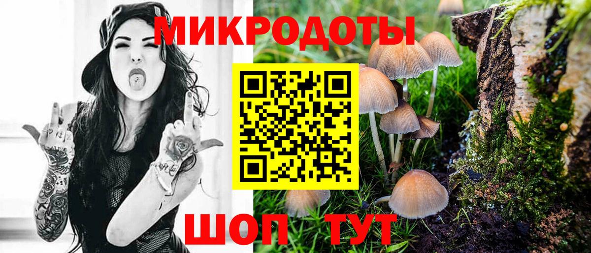 Псилоцибиновые грибы Cubensis  Вход с VPN  Уссурийск 