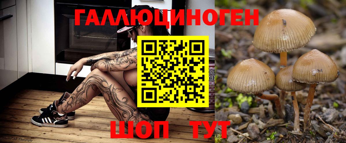 Галлюциногенные грибы MAGIC MUSHROOMS Уссурийск